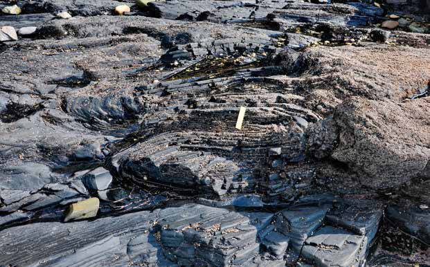 平臺上的各種岩石和構造島上出露的岩石主要為中生代沉積岩和火山岩