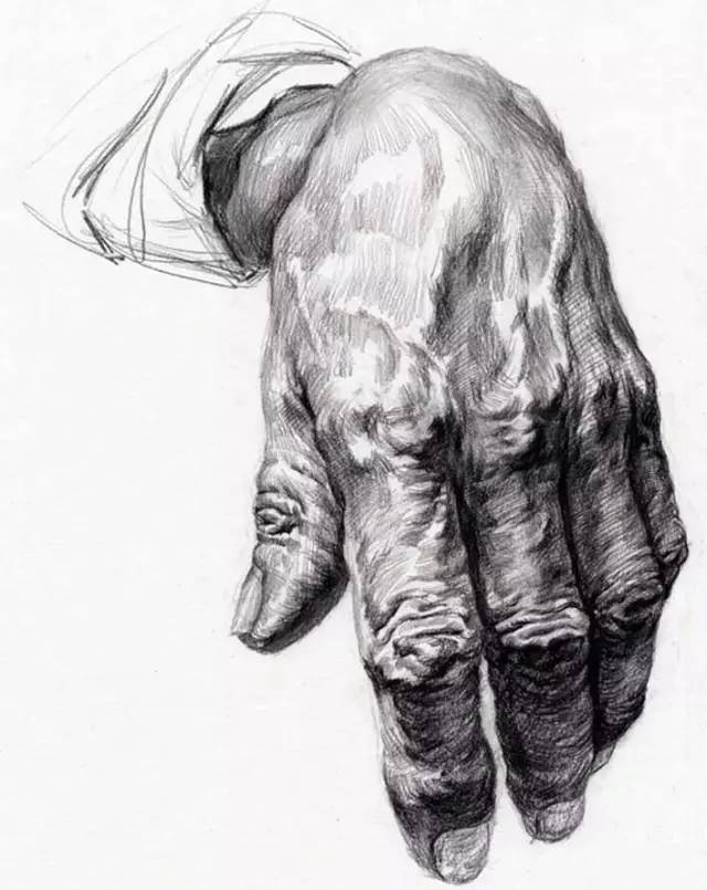 各角度手部特写素描