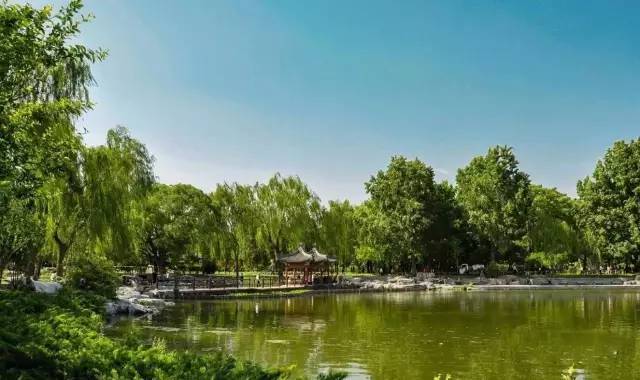 北京周边35个湿地美景！不走一遍简直遗憾！