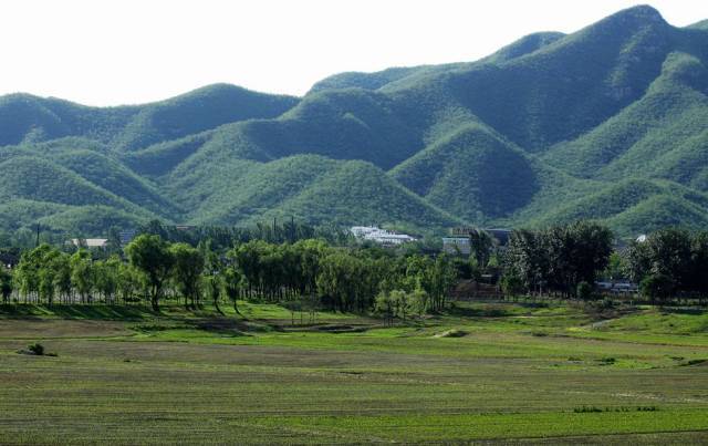 北京周边35个湿地美景！不走一遍简直遗憾！