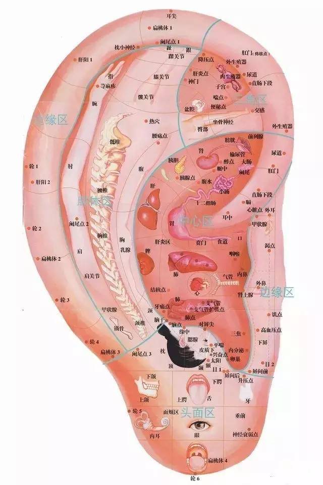 治牙疼耳朵上有个电门一拉就止