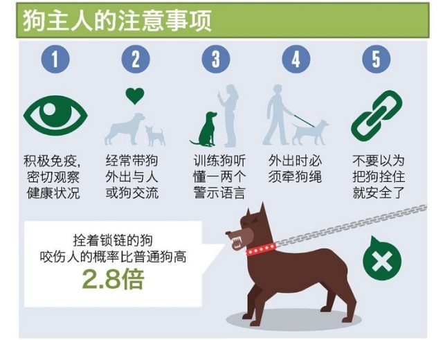 大家文明养犬定期给犬只接种疫苗不要随意遗弃避免家犬和流浪犬伤人来