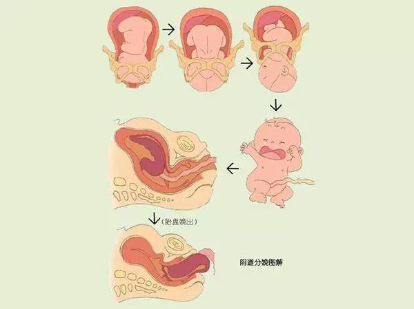 影響分娩時間有四個因素,想要順產時間短早準備可以少受罪