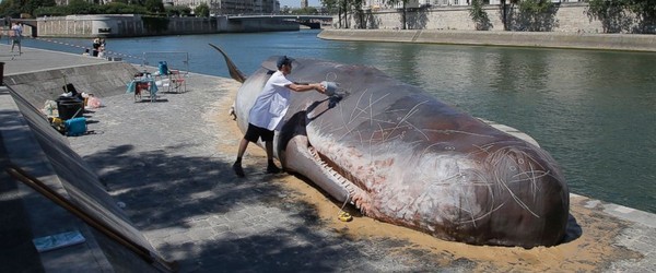 深海巨獸大王烏賊