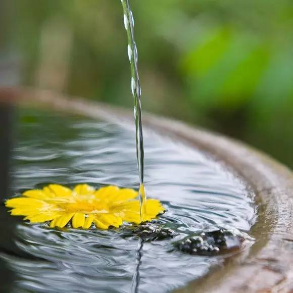 别人的嘴我们无法去控制,但我们可以抱一颗淡然的心去看一切纷扰.