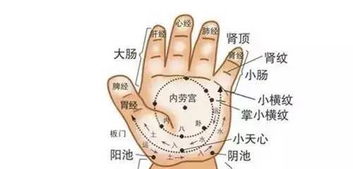 几乎失传的手诊口诀长寿密码就在手上