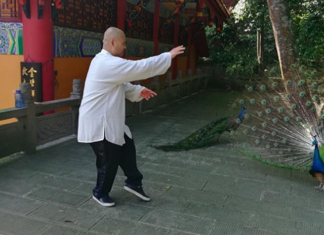 峨眉山市官微打脸太极雷雷:我们办传武比赛,不是为他平息舆论!