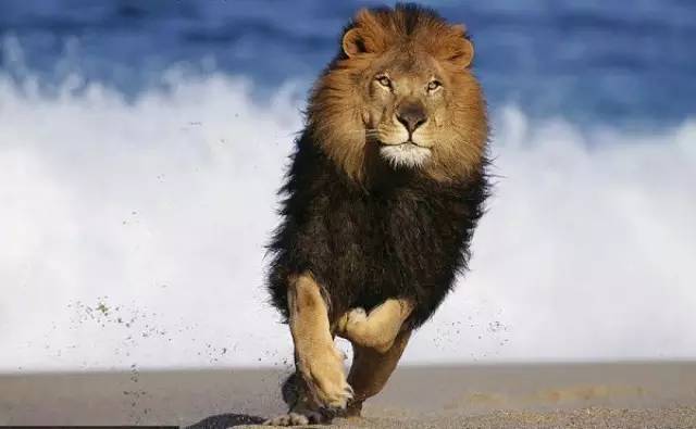 强者都是含泪奔跑的人