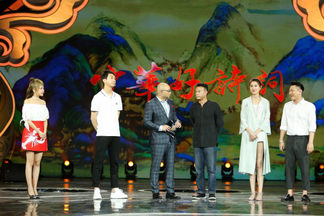 中华好诗词中出现的十首较生僻的苏轼诗词你能背下来几首