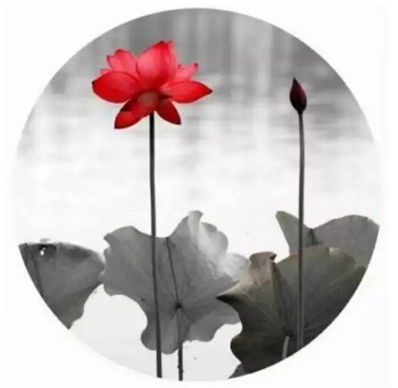 &ldquo;紅塵修行，禪意人生&rdquo;的图片搜索结果