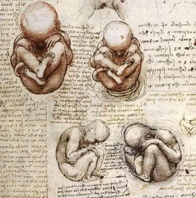 列奥纳多·迪·皮耶罗·达·芬奇|2020/07【绘画艺术】达芬奇名画作品欣赏