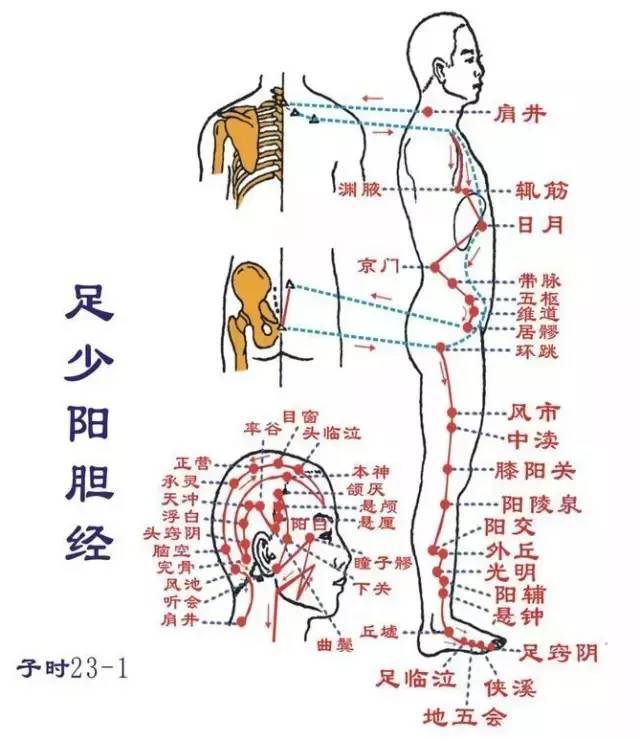 對應看就能知道你的哪根經絡不通