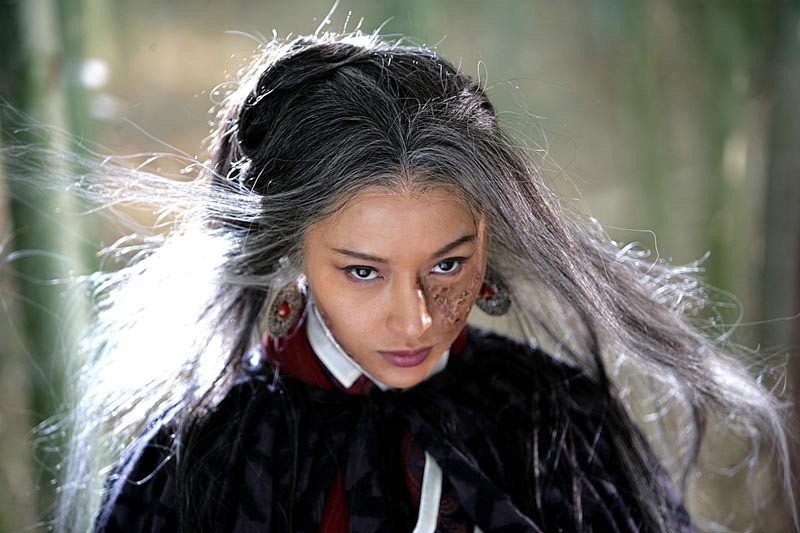 碧血剑之负心郎君夏雪宜甲之蜜糖乙之砒霜