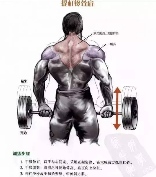 这6个动作足够可以全面刺激你的这个背部肌肉群