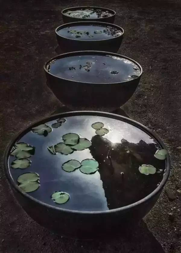 古诗词|古诗词之最：最深的情，给最懂的人