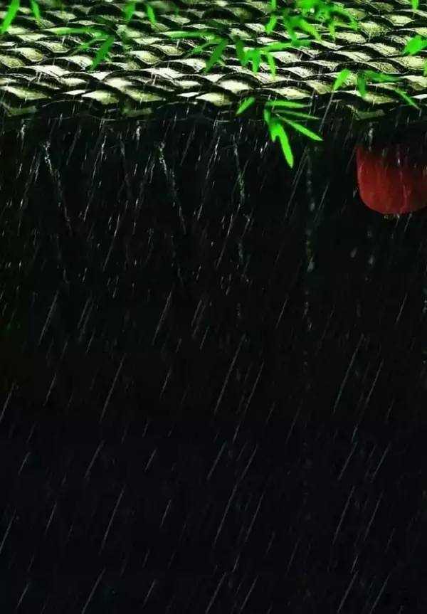 古诗词|古诗词之最：最深的情，给最懂的人