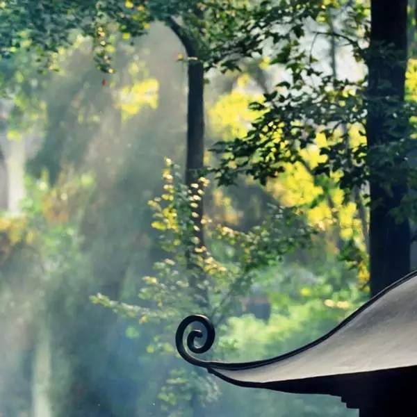 古诗词|古诗词之最：最深的情，给最懂的人