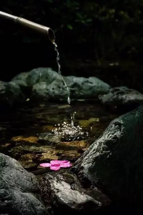 古诗词|古诗词之最：最深的情，给最懂的人