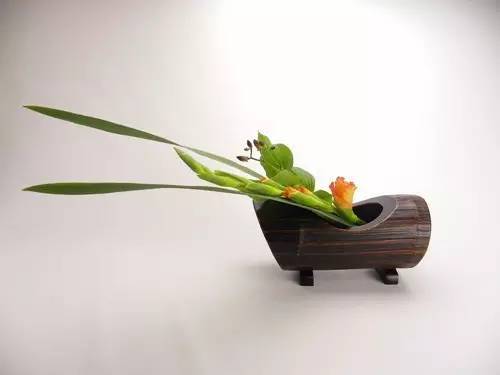 插花,茶艺的灵魂担当_腾讯新闻