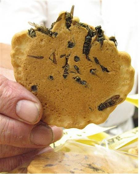 这个看起来是不是还挺正常的,但当我告诉您它的名子叫活蛆奶酪的时候