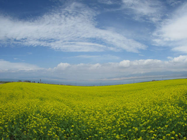 中国最美的地方排行榜_中国最美夜景城市排行榜,你的家乡上榜没有!