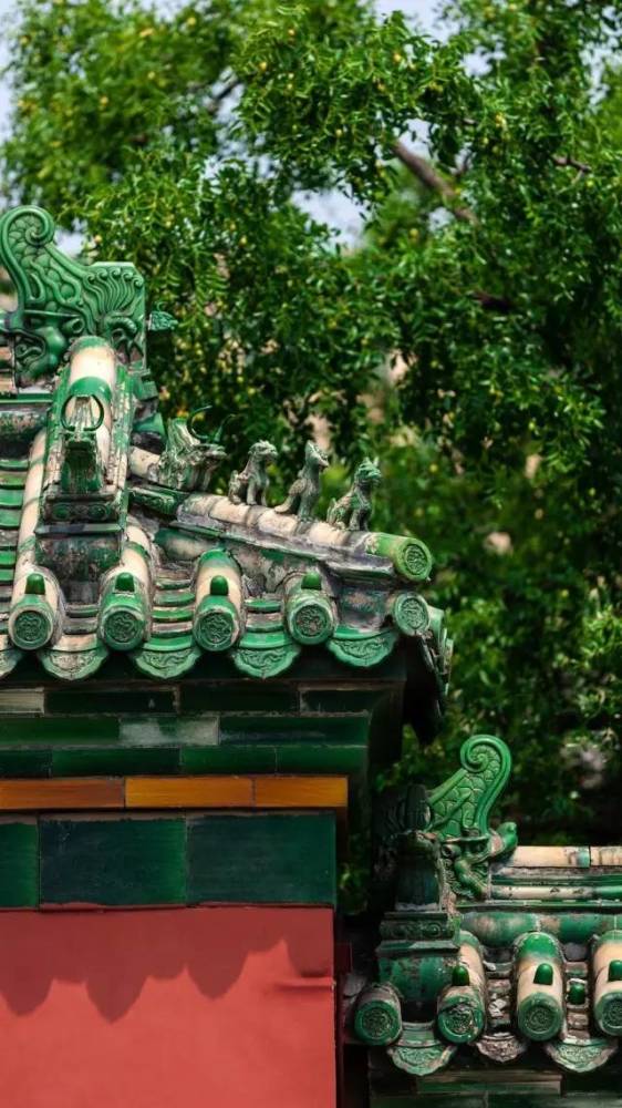 秋雨|夏去秋来，一枕新凉