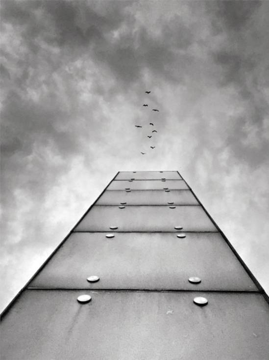 如何用节奏去构图?很简单,但这个错误不要犯!