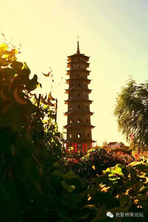 头条一眼望千年爱上栟茶始于颜值终于底蕴