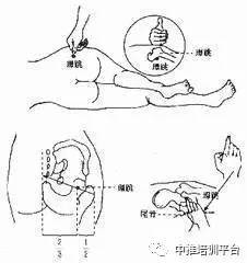 点按屁股上这个穴位 腰腿疼痛轻松解决 腾讯新闻