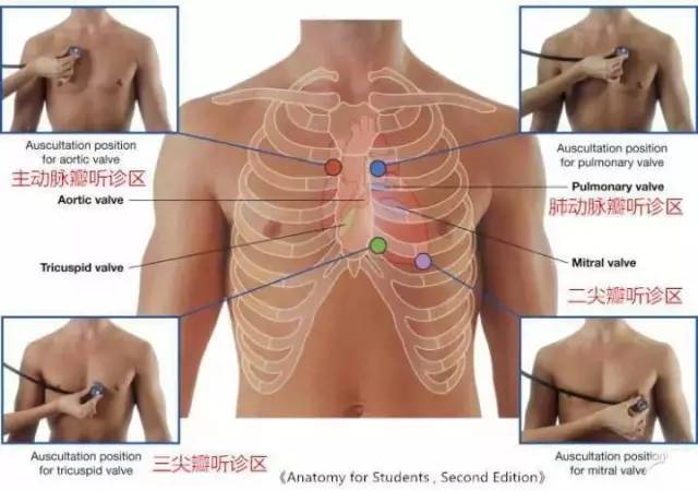 心血管疾病|心血管疾病图文详解！太珍贵了！看完全明白！