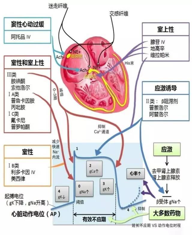 心血管疾病|心血管疾病图文详解！太珍贵了！看完全明白！