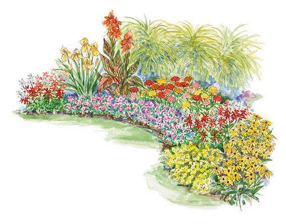 花境设计超全资料整理