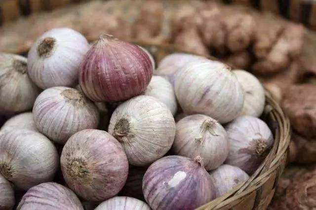 大蒜为啥会长成独头蒜?如何预防?今天终于明