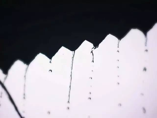 苏轼|听过许多道理，却不如这些诗词入心