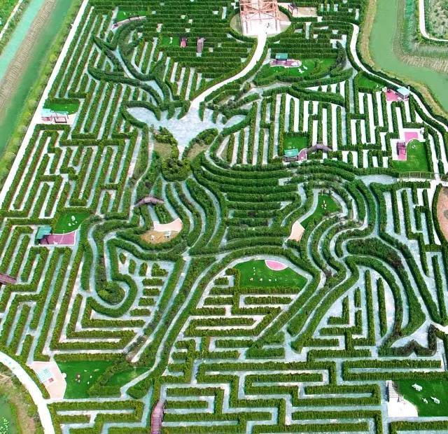 大丰梦幻迷宫 植物迷宫区 选用大丰特色资源—麋鹿作为迷宫主题 赋予