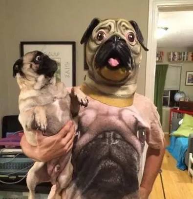 641