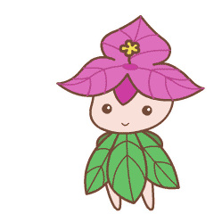 鹭江春浓,梅海花红!明天上午,一起来抖音为厦门三角梅打call!