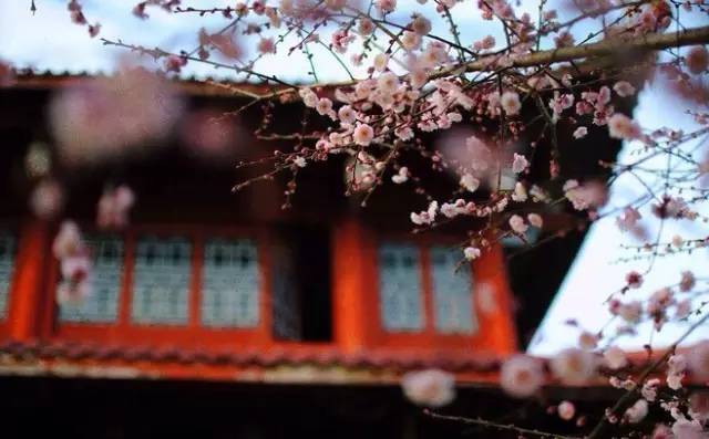 七情六欲是指哪七情?喜、怒、哀、乐、惧、