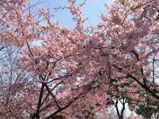 100条马路 100种风情 这是爱上海的100个理由