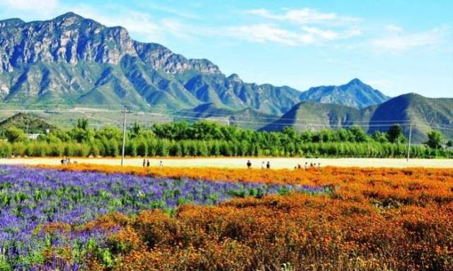 北京|看看咱北京各个区在全球的实力排名，通州可以比肩这个国家