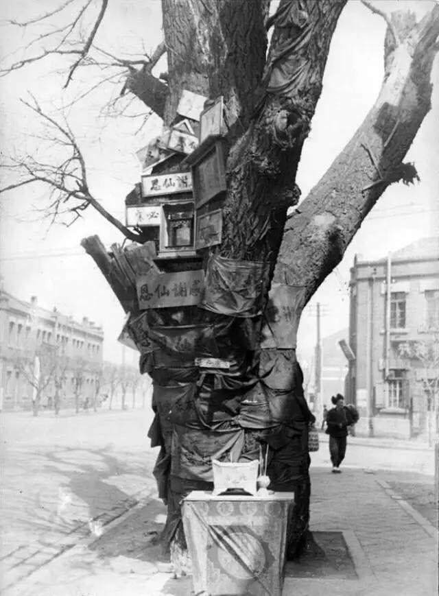 傀儡政权伪满洲国老照片