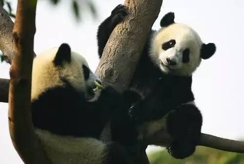 衢州|飞机票好便宜哦！从衢州出发，直飞武汉、北京、重庆等地，只要200元＋