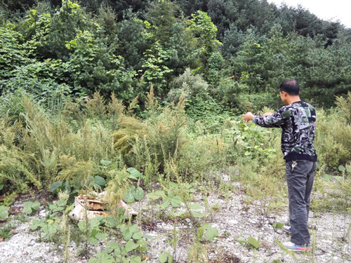 东港小村一夜之间田间地头闹蛇灾,蛇缠上人,