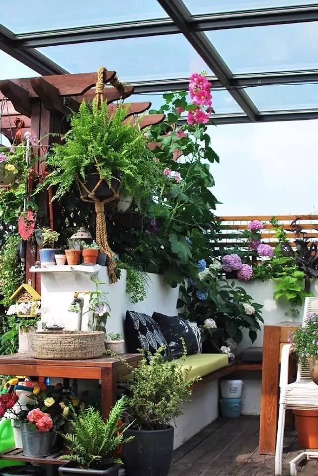 她在楼顶悄悄建了一座梦想花园,美翻了!这才是把日子过成诗的样子