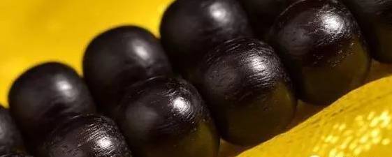 星月菩提|不同材质的藏传老佛珠！看得人口水直流……