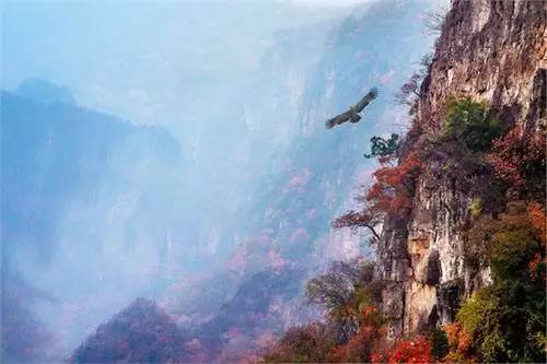 北京|北京周边自驾游，就去这些人少，景美的地方！