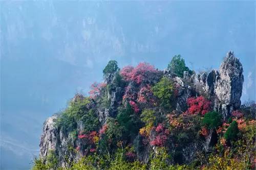 北京|北京周边自驾游，就去这些人少，景美的地方！