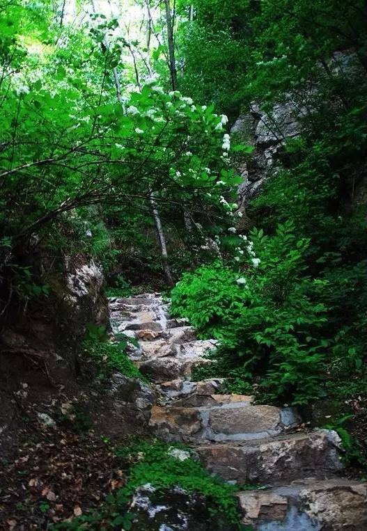 北京|北京周边自驾游，就去这些人少，景美的地方！