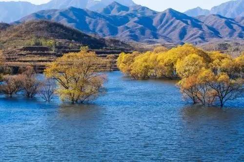 北京|北京周边自驾游，就去这些人少，景美的地方！