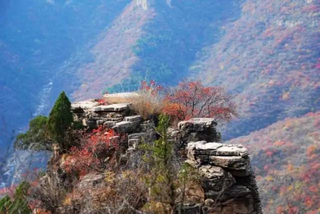 北京|北京周边自驾游，就去这些人少，景美的地方！